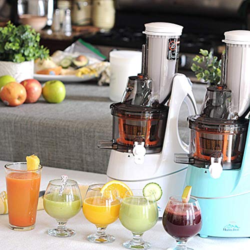 Cold Press Slow Masticating Juicer