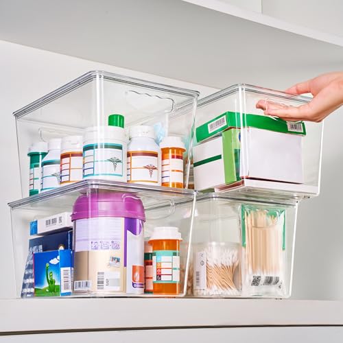 Large Clear Storage Bins with Lids (8 Count)