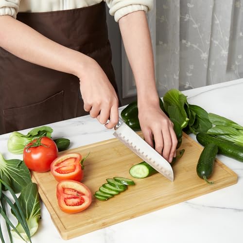 Cutting Board for Kitchen (3 Count)