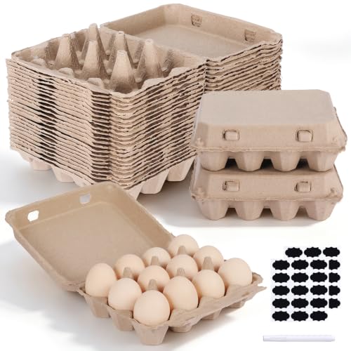 25 Pack Egg Cartons Bulk (12 Count)