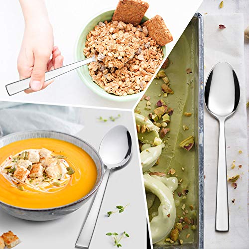 Dinner Spoons Set of 12 (12 Count)