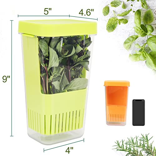 Fresh Herb Keeper for Refrigerator (2 Count)