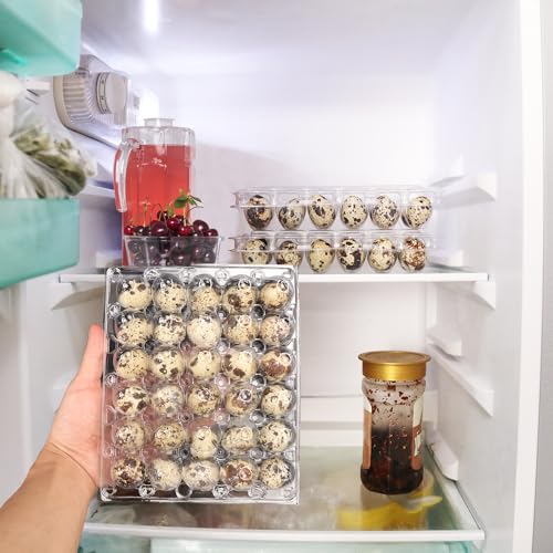 100 Pack Quail Egg Cartons (100 Count)