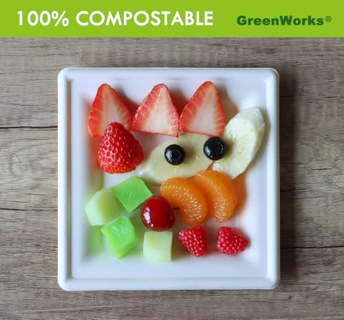 100 Count 6 Inch Small Square Compostable plates