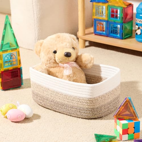 Small Storage Baskets for Organizing (3 Count)