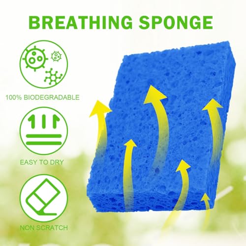 Sponge Kitchen Natural Cellulose Sponges 10 Pack Compressed Sponges for Cleaning Reusable Dish Sponge Kitchen Non (10 Count)