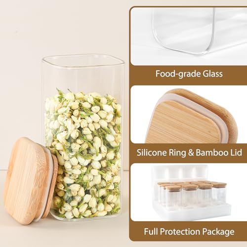 20 Pack 10 oz Square Glass Spice Jars with Lids and Labels (20 Count)