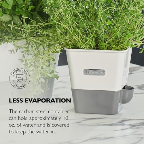 Self Water Herb Keeper