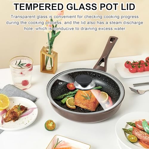 12 Inch Pan Lid