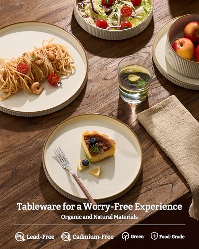 Stoneware Dinnerware Sets with Pasta Bowls (24 Count)