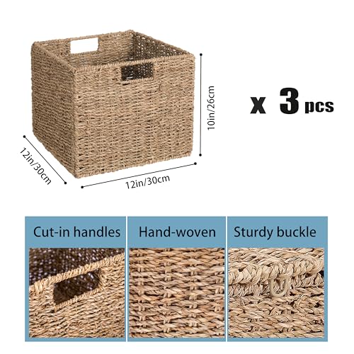 Seagrass Storage Baskets (3 Count)