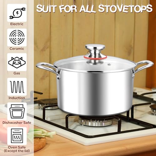 5 Quart Stock Pot with Lid
