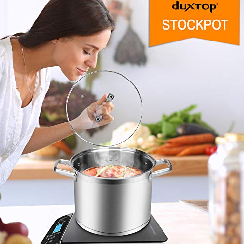 Stainless Steel Stock Pot with Lid