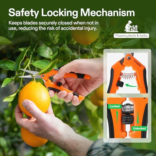 6.5 Inch Garden Scissors (12 Count)