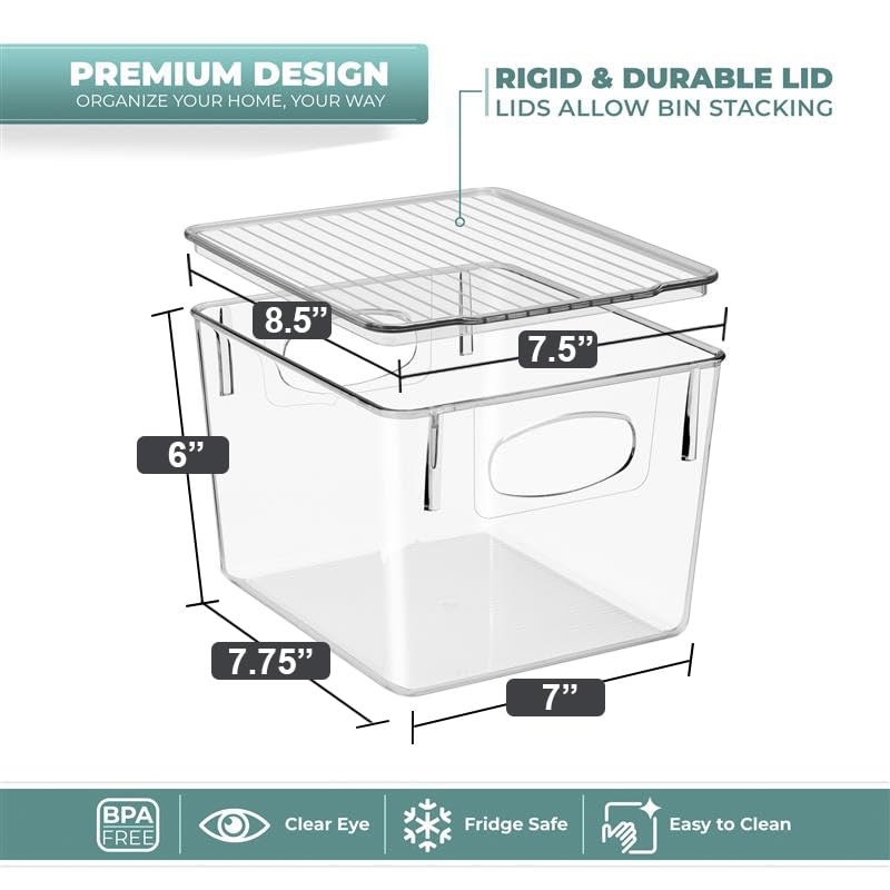 Clear Toy Storage Bins with Lids (2 Count)