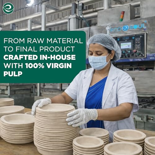 6 Inch Disposable Bagasse Paper Plates (400 Count)