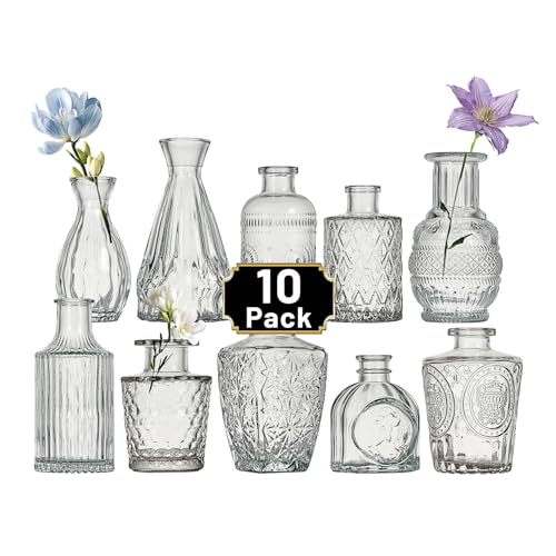 Glass Bud Vase Set of 10 Pcs Small Minimalist Vases for Flowers (10 Count)