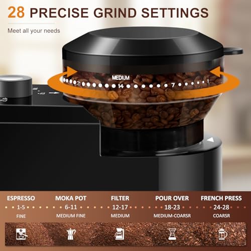 Electric Burr Coffee Grinder