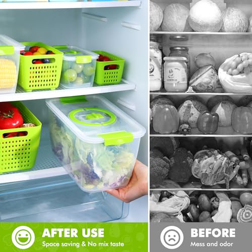 Produce containers for fridge (135.2561 Fl Oz)
