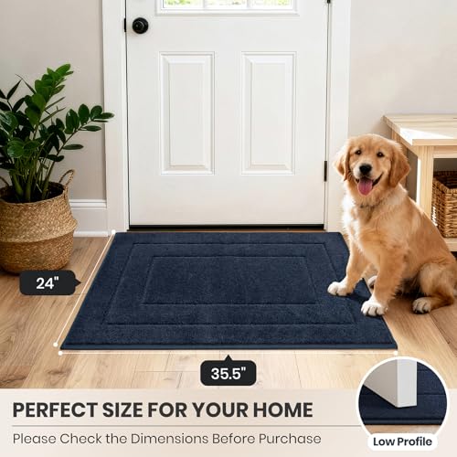 Dirt Trapping Door Mat Indoor Entrance (5.933 Sq Ft)