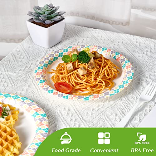 160 Paper 10 Inch Paper Plates (160 Count)