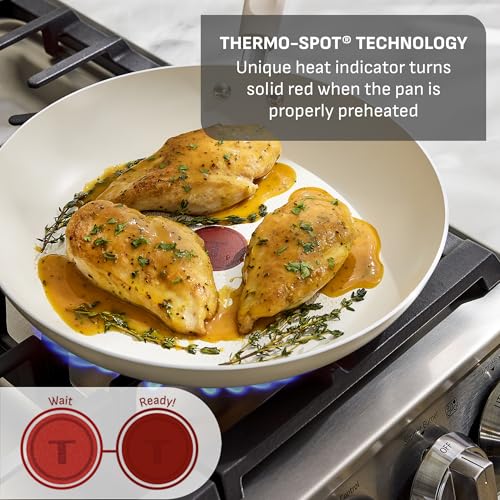 Signature Nonstick Frying Pan