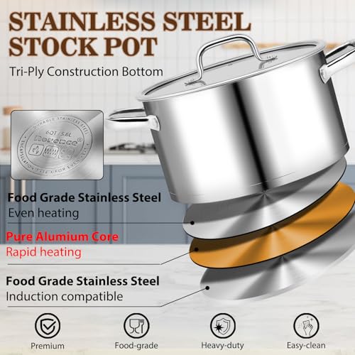 Stainless Steel Stock Pot