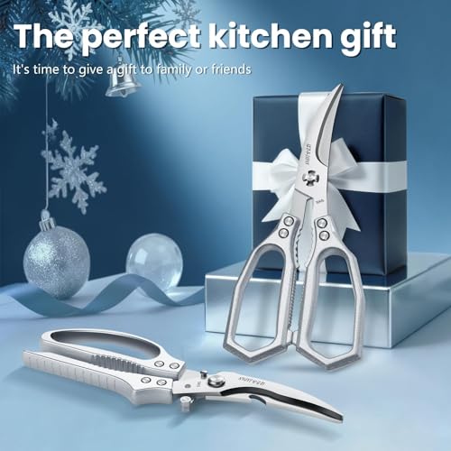 Silver Kitchen Scissors Set