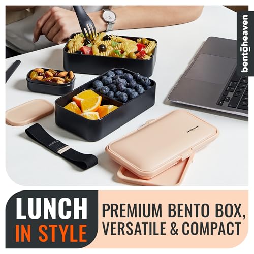 Bento Box Adult