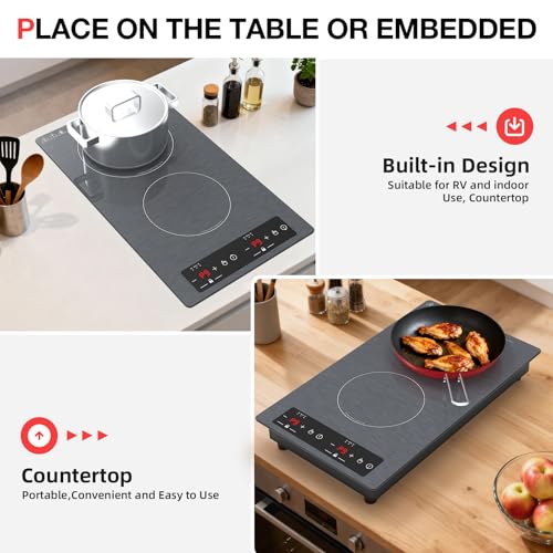 Double Induction Cooktop 110v