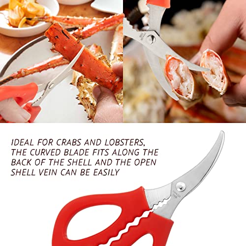 62 Pcs Seafood Tools Set