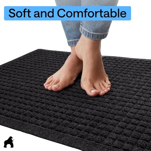 HydroABSORB Door Mat for Indoor Outdoor Use (2 Count)