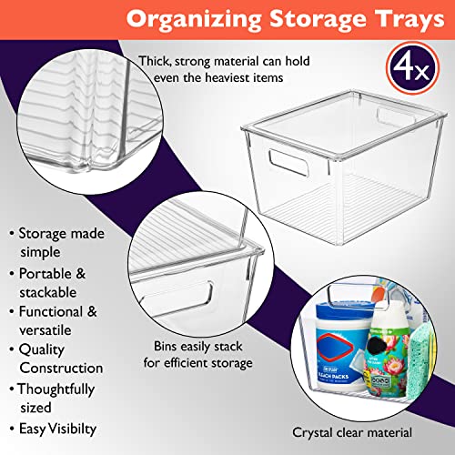 Storage Bin with Lid (4 Count)