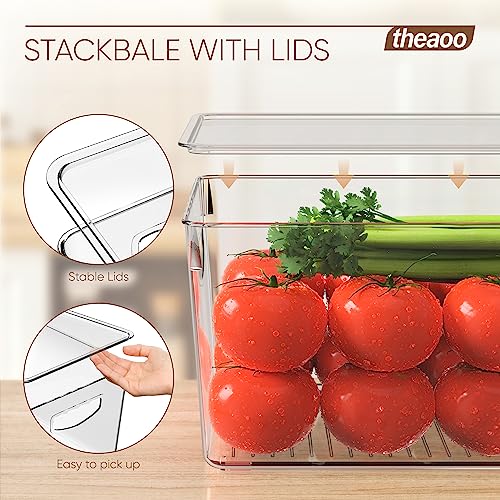 Large Clear Storage Bins with Lids (6 Count)