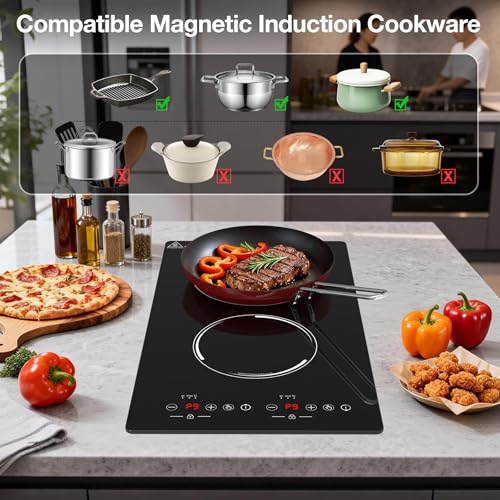 Double Induction Cooktop