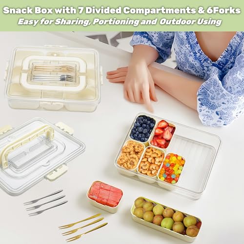 Divided Serving Tray with Lid & Handle&6 Forks