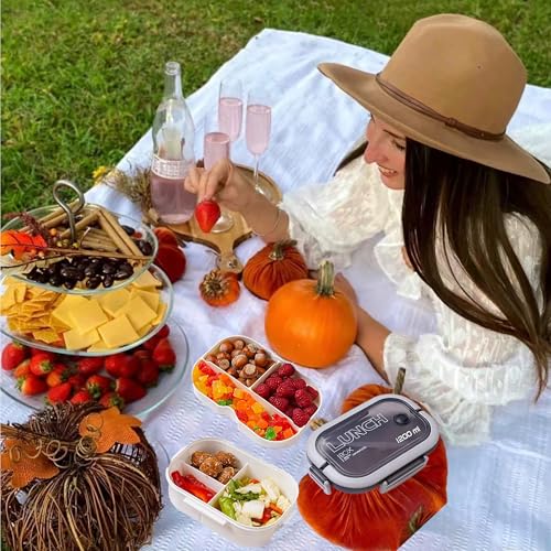Double Layer Bento Box with Cutlery
