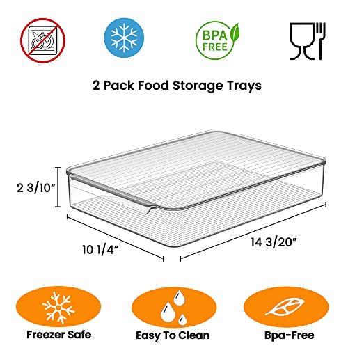 2 Pack Deli Meat Container for Fridge (2 Count)