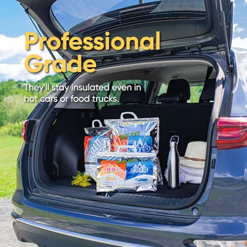 Hot and Cold Insulated Bags for Food Delivery