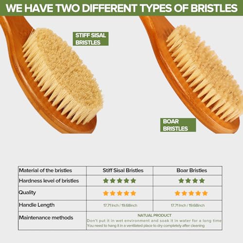 17.71Inch Natural Boar Bristles Anti
