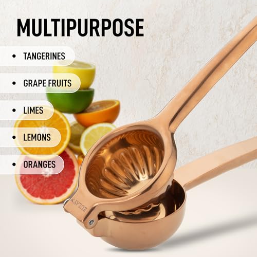 Lemon Squeezer Stainless Steel
