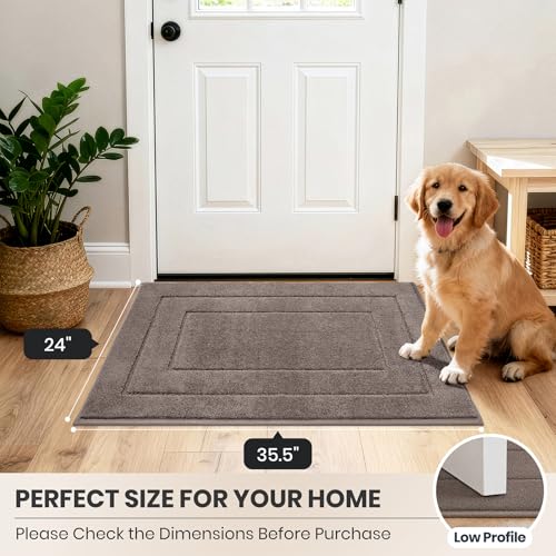 Dirt Trapping Door Mat Indoor Entrance
