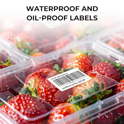 3x2 Thermal Labels (500 Count)