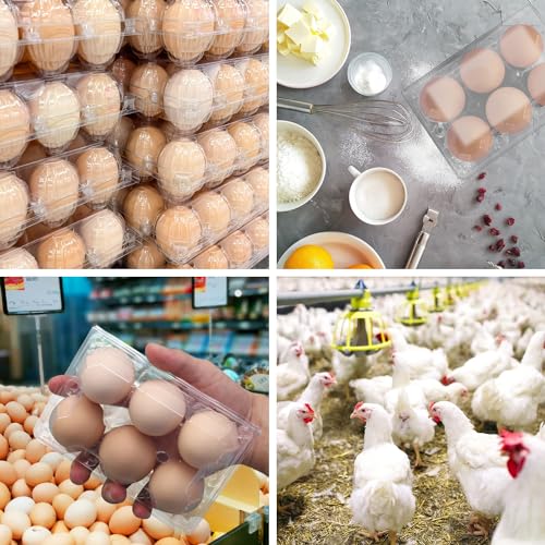 150 Pack Half Dozen Egg Cartons Bulk (150 Count)