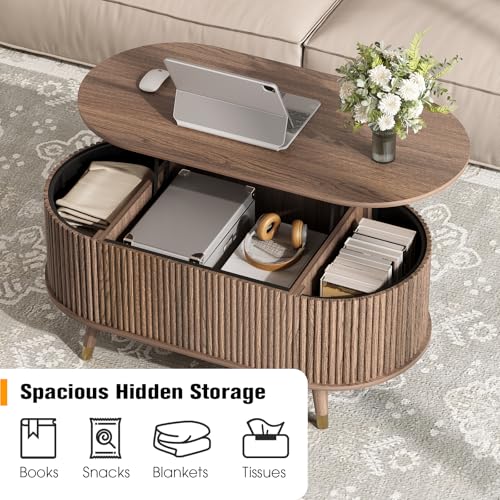 Oval Lift Top Coffee Table with Storage for Living Room