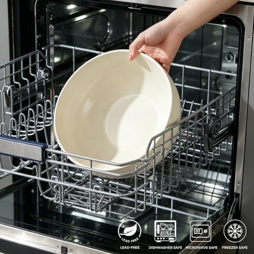 9.8’’ Ceramic Serving Bowls (2 Count)