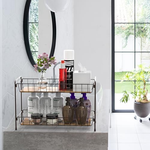 2 Tier Countertop Spice Rack Organizer