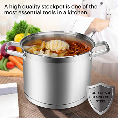 Stainless Steel Stock Pot with Lid