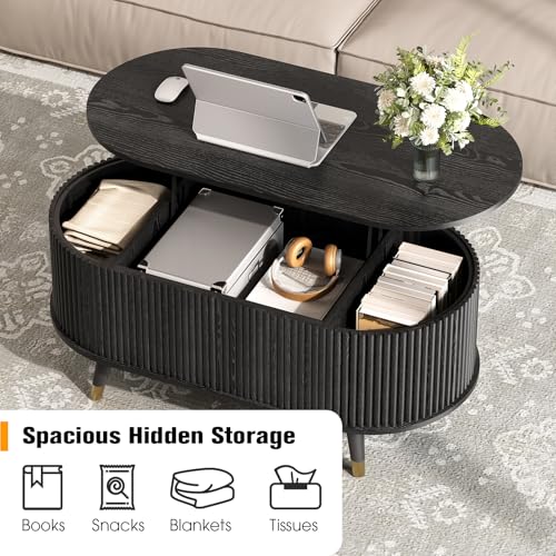 Oval Lift Top Coffee Table with Storage for Living Room
