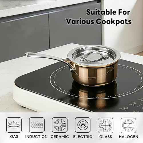 Mini Sauce Pan with Lid